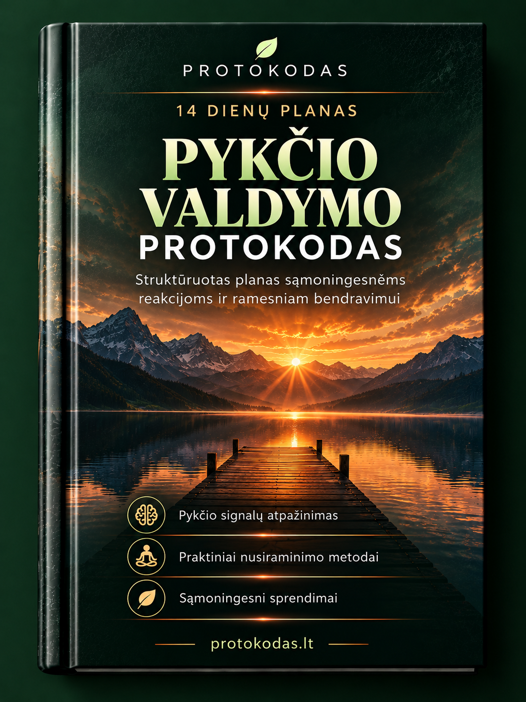 Pykčio valdymo protokodas